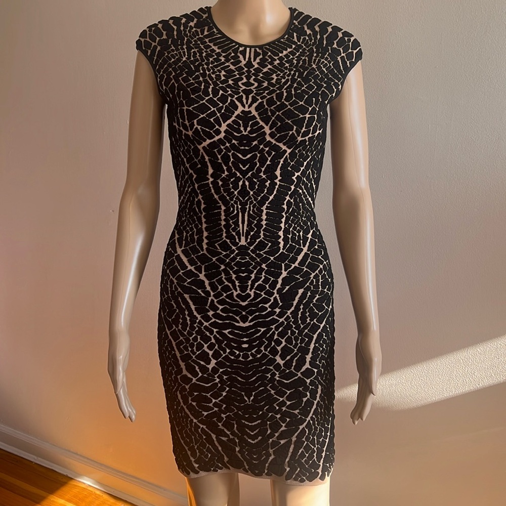 RVN Black and Tan Mini Dress